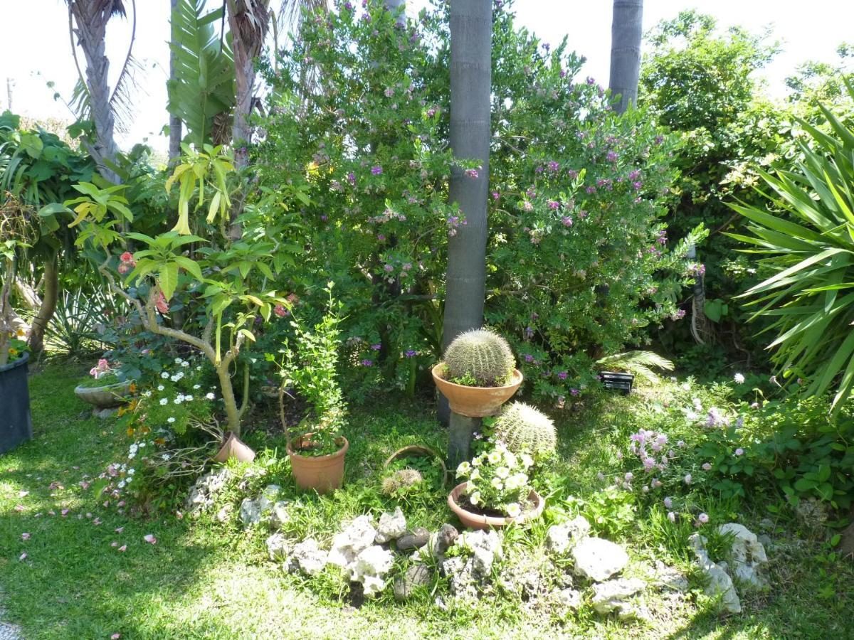 Holidaysora Taormina - Il Giardino Di Graziella المظهر الخارجي الصورة